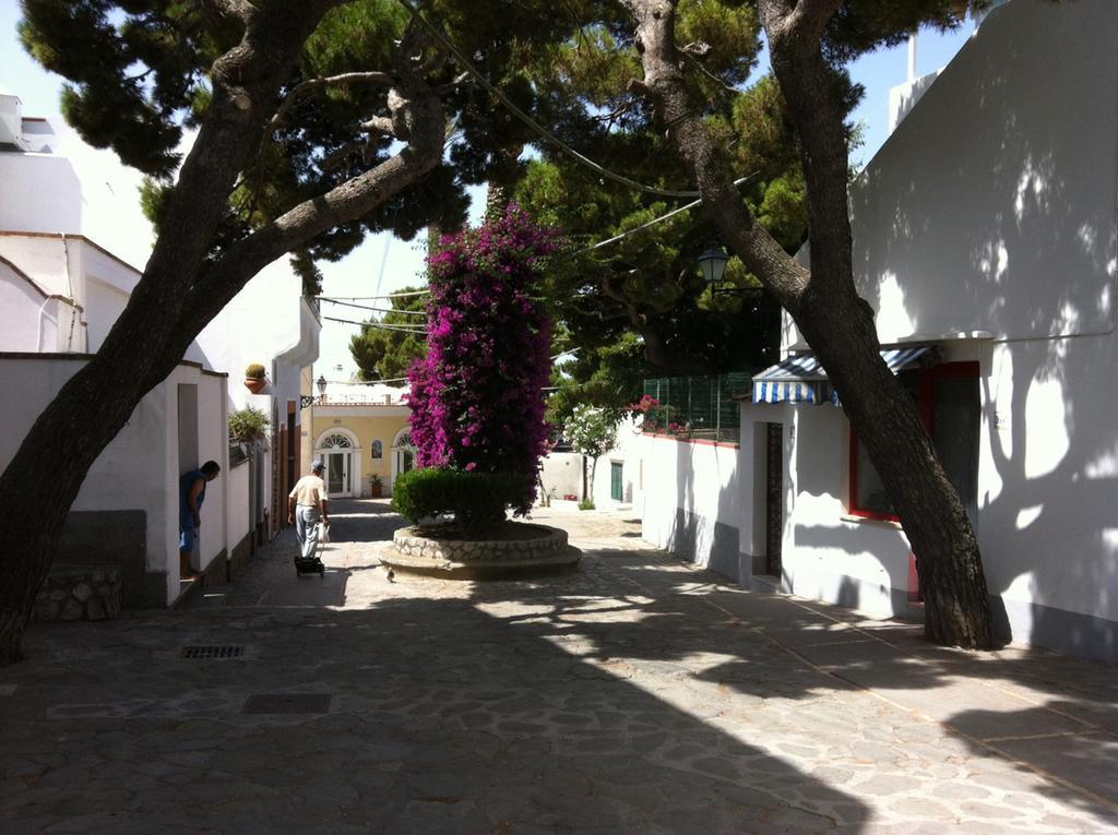 Casa Anna Capri Charme Διαμέρισμα Εξωτερικό φωτογραφία